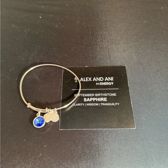 Alex and Ani Silver Blue Charm Bracelet - Picture 2 of 2